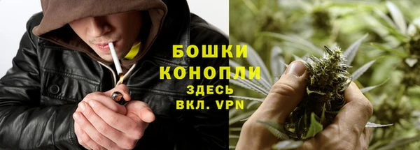 дживик Белоозёрский