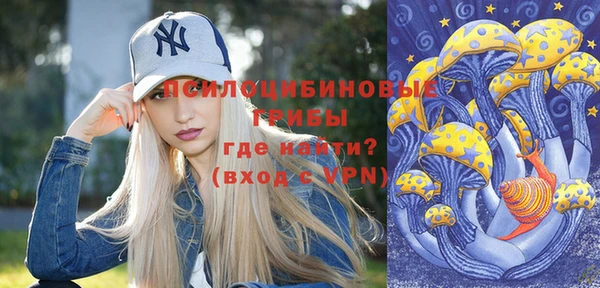 MDMA Premium VHQ Белокуриха