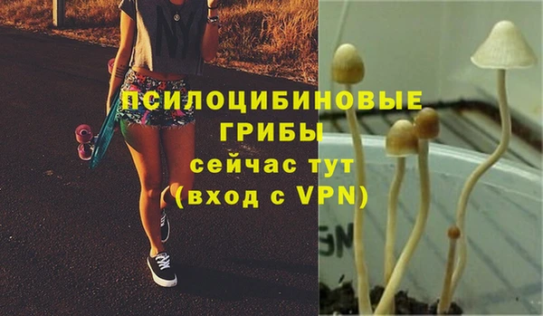 крисы Беломорск