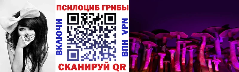 Купить где  Павловский Посад  Псилоцибиновые грибы Psilocybe 